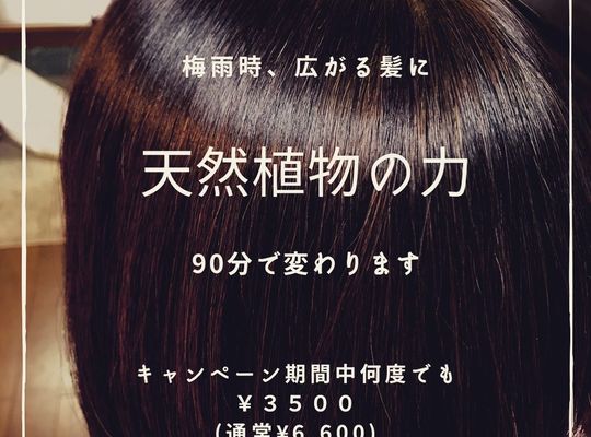 ヘナトリートメント